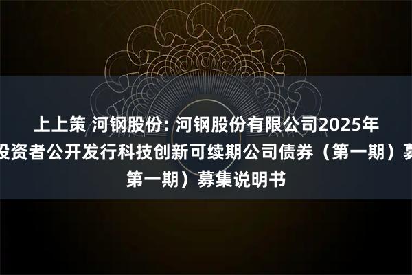 上上策 河钢股份: 河钢股份有限公司2025年面向专业投资者公开发行科技创新可续期公司债券（第一期）募集说明书