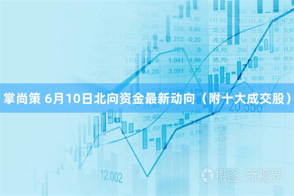 掌尚策 6月10日北向资金最新动向（附十大成交股）