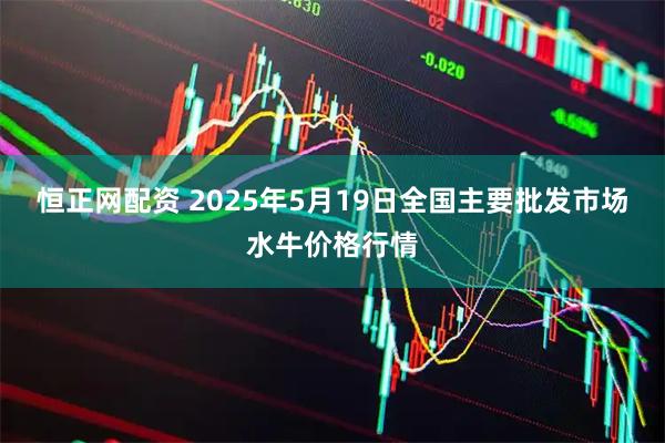 恒正网配资 2025年5月19日全国主要批发市场水牛价格行情