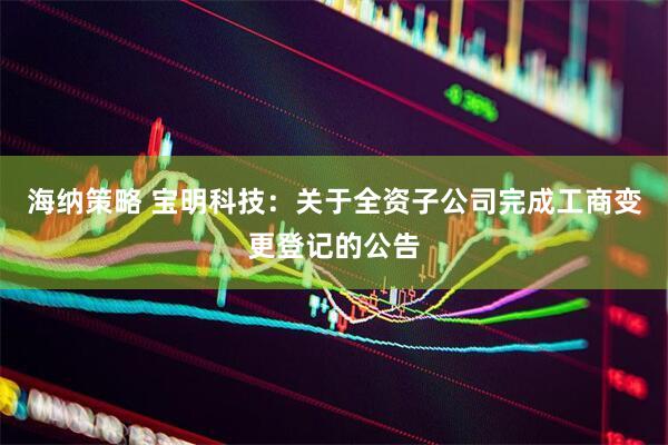 海纳策略 宝明科技：关于全资子公司完成工商变更登记的公告