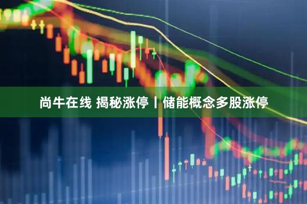 尚牛在线 揭秘涨停丨储能概念多股涨停